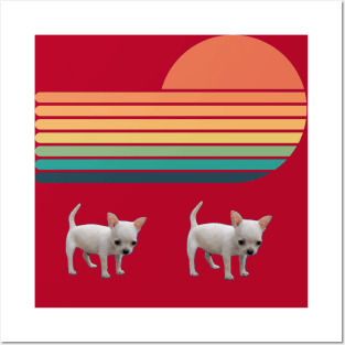 Two tiny chihuahua puppy on sun background Posters and Art